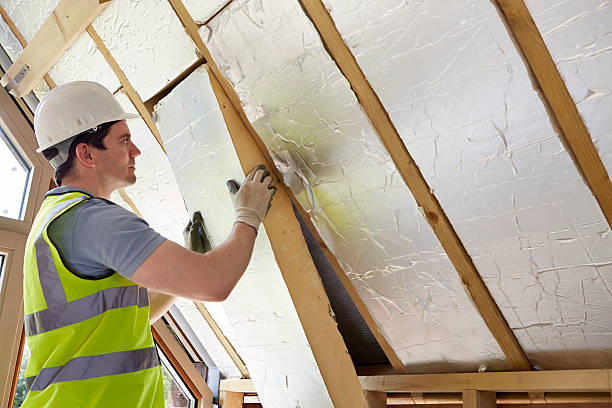 Best Specialty Insulation in Hull, IA